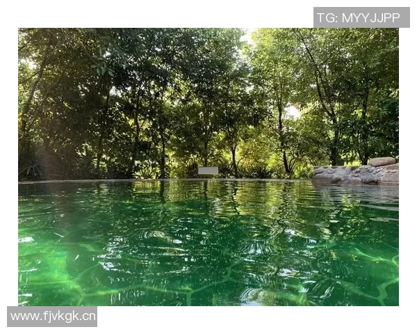 以泳池为核心,打造四季皆宜的度假胜地,体验畅游与悠闲的完美结合