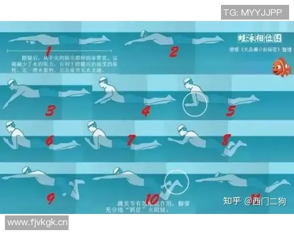 仰泳技巧与训练方法全解析 提升游泳效率与技巧的关键要素